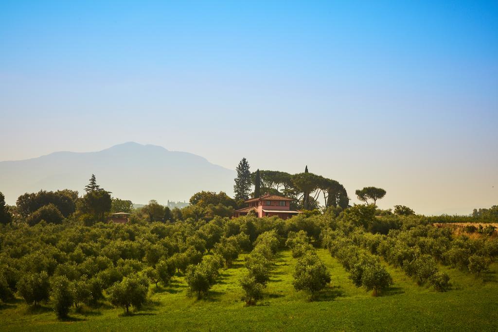 Villa La Tartaruga Sabina Palombara Sabina Luaran gambar